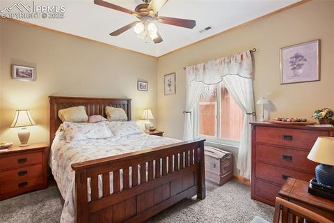 Tiny photo for 16 Rainier Circle, Florissant, CO 80816 (MLS # 7881689)