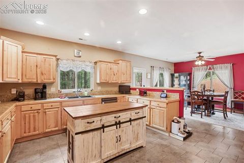Tiny photo for 16 Rainier Circle, Florissant, CO 80816 (MLS # 7881689)