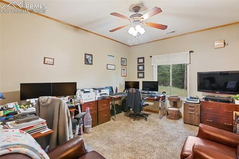 Tiny photo for 16 Rainier Circle, Florissant, CO 80816 (MLS # 7881689)