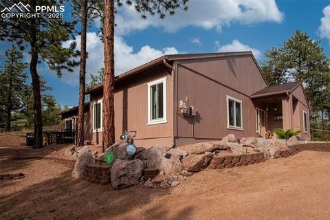 Tiny photo for 16 Rainier Circle, Florissant, CO 80816 (MLS # 7881689)