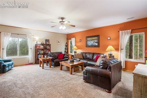 Tiny photo for 16 Rainier Circle, Florissant, CO 80816 (MLS # 7881689)
