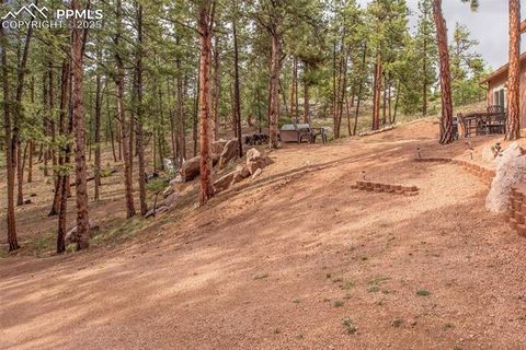Tiny photo for 16 Rainier Circle, Florissant, CO 80816 (MLS # 7881689)