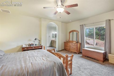Tiny photo for 16 Rainier Circle, Florissant, CO 80816 (MLS # 7881689)