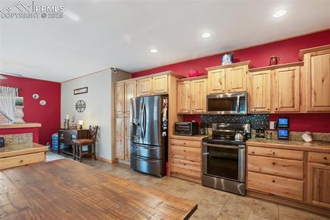 Tiny photo for 16 Rainier Circle, Florissant, CO 80816 (MLS # 7881689)
