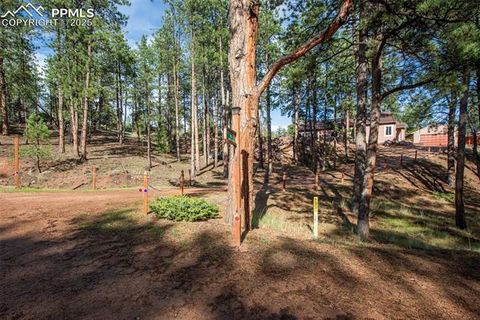 Tiny photo for 16 Rainier Circle, Florissant, CO 80816 (MLS # 7881689)