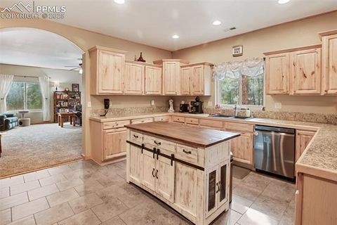 Tiny photo for 16 Rainier Circle, Florissant, CO 80816 (MLS # 7881689)