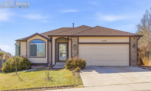 1223 Cailin Way Fountain CO 80817