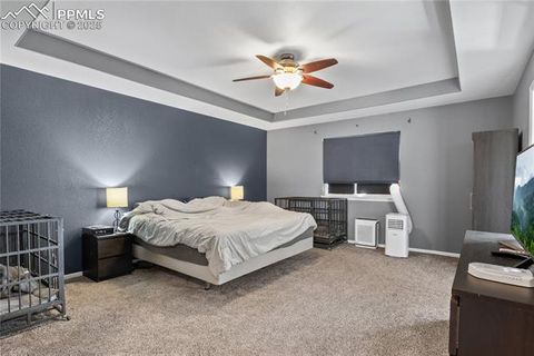 Tiny photo for 10025 Beryl Drive, Peyton, CO 80831 (MLS # 8059157)