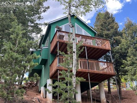 Tiny photo for 501 Wakanda Trail, Woodland Park, CO 80863 (MLS # 9832426)