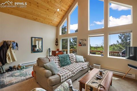 Tiny photo for 501 Wakanda Trail, Woodland Park, CO 80863 (MLS # 9832426)