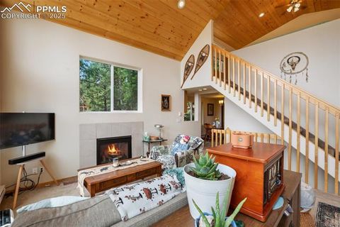 Tiny photo for 501 Wakanda Trail, Woodland Park, CO 80863 (MLS # 9832426)