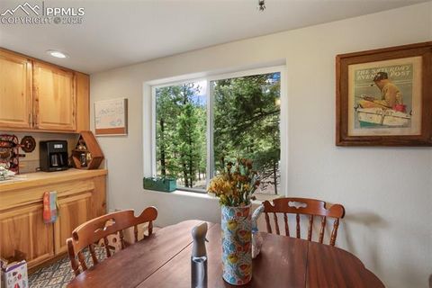 Tiny photo for 501 Wakanda Trail, Woodland Park, CO 80863 (MLS # 9832426)