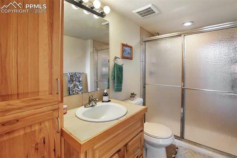 Tiny photo for 501 Wakanda Trail, Woodland Park, CO 80863 (MLS # 9832426)
