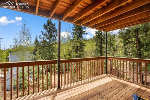 Tiny photo for 501 Wakanda Trail, Woodland Park, CO 80863 (MLS # 9832426)