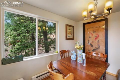 Tiny photo for 501 Wakanda Trail, Woodland Park, CO 80863 (MLS # 9832426)