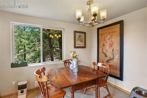 Tiny photo for 501 Wakanda Trail, Woodland Park, CO 80863 (MLS # 9832426)