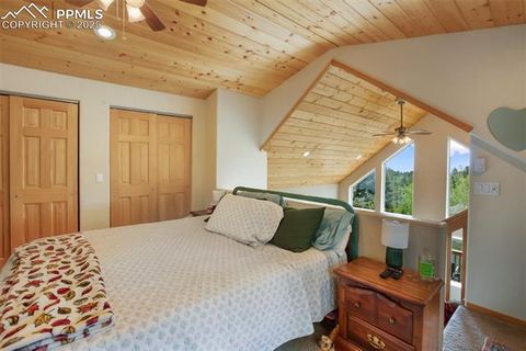 Tiny photo for 501 Wakanda Trail, Woodland Park, CO 80863 (MLS # 9832426)