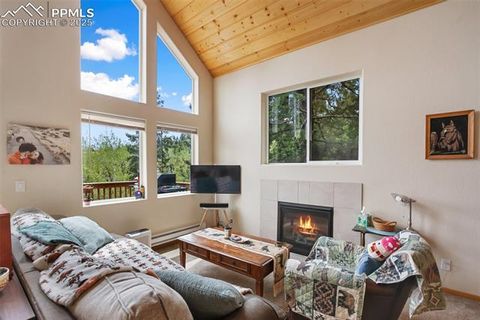 Tiny photo for 501 Wakanda Trail, Woodland Park, CO 80863 (MLS # 9832426)
