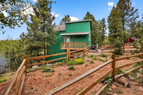 Tiny photo for 501 Wakanda Trail, Woodland Park, CO 80863 (MLS # 9832426)