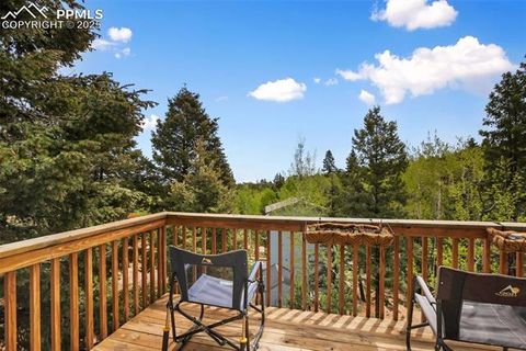Tiny photo for 501 Wakanda Trail, Woodland Park, CO 80863 (MLS # 9832426)