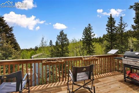 Tiny photo for 501 Wakanda Trail, Woodland Park, CO 80863 (MLS # 9832426)