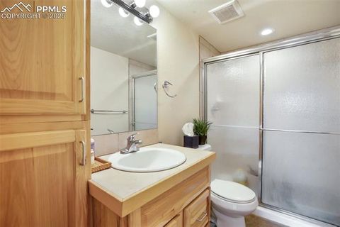 Tiny photo for 501 Wakanda Trail, Woodland Park, CO 80863 (MLS # 9832426)