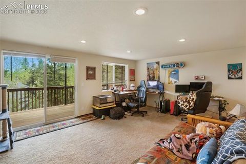 Tiny photo for 501 Wakanda Trail, Woodland Park, CO 80863 (MLS # 9832426)
