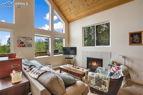 Tiny photo for 501 Wakanda Trail, Woodland Park, CO 80863 (MLS # 9832426)