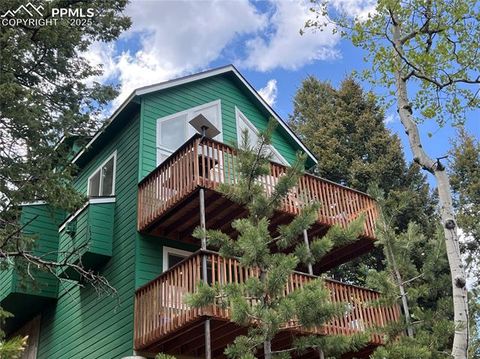 Photo of 501 Wakanda Trail, Woodland Park, CO 80863 (MLS # 9832426)