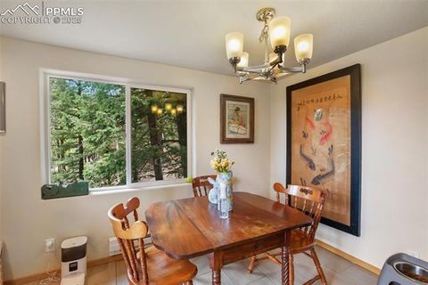 Tiny photo for 501 Wakanda Trail, Woodland Park, CO 80863 (MLS # 9832426)