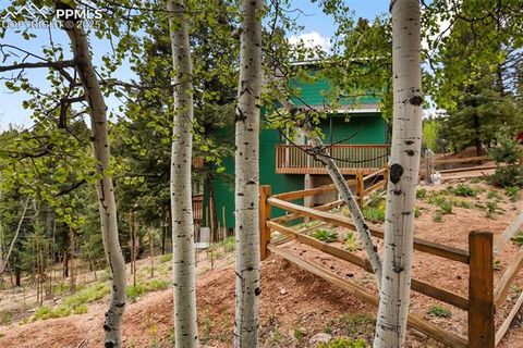 Tiny photo for 501 Wakanda Trail, Woodland Park, CO 80863 (MLS # 9832426)