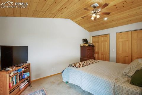 Tiny photo for 501 Wakanda Trail, Woodland Park, CO 80863 (MLS # 9832426)