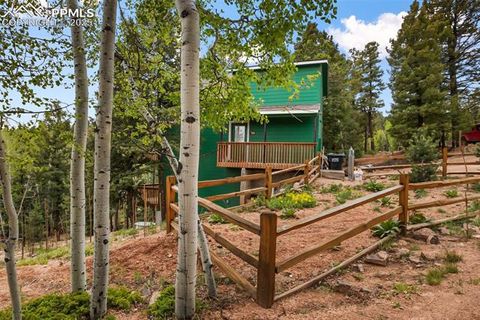 Tiny photo for 501 Wakanda Trail, Woodland Park, CO 80863 (MLS # 9832426)