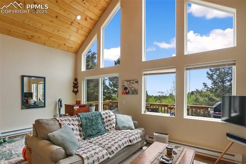 Tiny photo for 501 Wakanda Trail, Woodland Park, CO 80863 (MLS # 9832426)