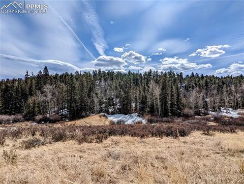 Photo of 1620 Park Ridge Drive, Guffey, CO 80820 (MLS # 5541458)