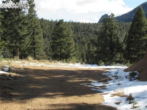 113 Steep Road Manitou Springs CO 80829