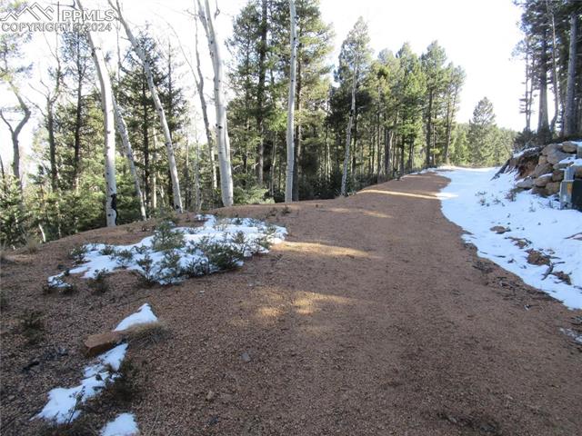 113 Steep Road