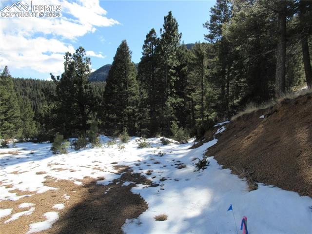 113 Steep Road