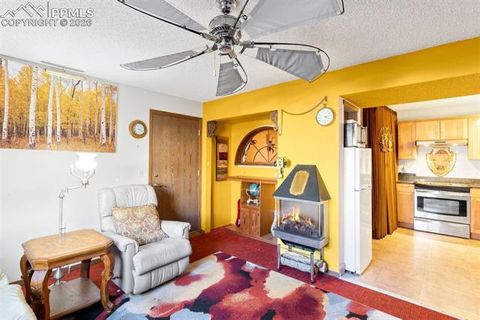 Tiny photo for 380 Paradise Circle #C1, Woodland Park, CO 80863 (MLS # 1111629)