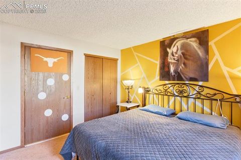 Tiny photo for 380 Paradise Circle #C1, Woodland Park, CO 80863 (MLS # 1111629)