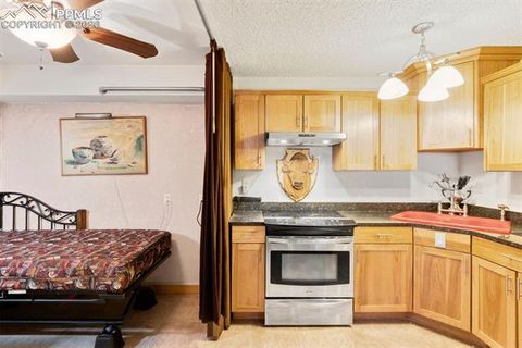 Tiny photo for 380 Paradise Circle #C1, Woodland Park, CO 80863 (MLS # 1111629)