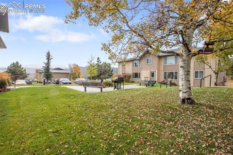 Tiny photo for 380 Paradise Circle #C1, Woodland Park, CO 80863 (MLS # 1111629)