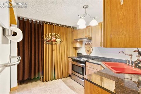 Tiny photo for 380 Paradise Circle #C1, Woodland Park, CO 80863 (MLS # 1111629)