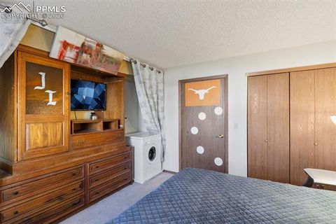 Tiny photo for 380 Paradise Circle #C1, Woodland Park, CO 80863 (MLS # 1111629)