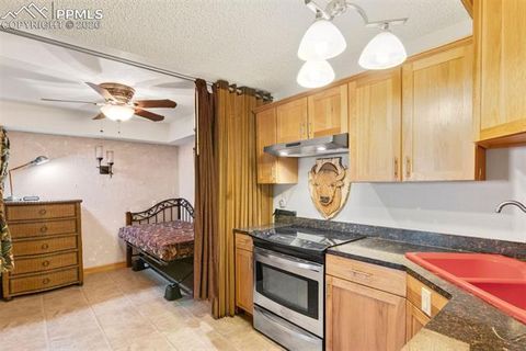 Tiny photo for 380 Paradise Circle #C1, Woodland Park, CO 80863 (MLS # 1111629)