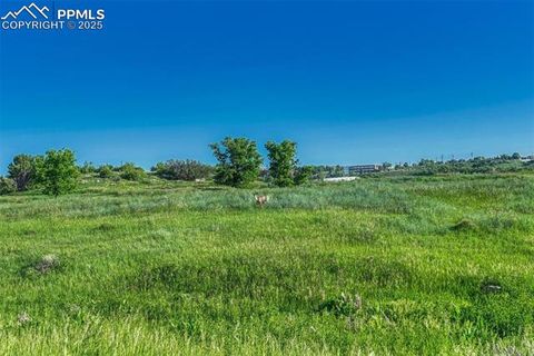 Tiny photo for 262 Cobblestone Drive #81, Colorado Springs, CO 80906 (MLS # 7211195)
