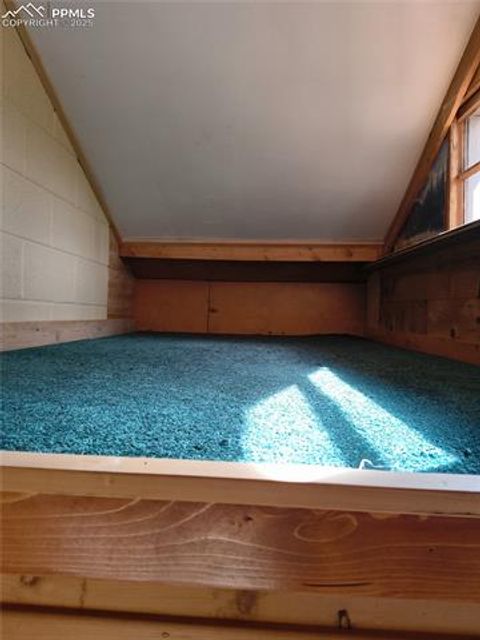 Tiny photo for 987 Blossom Road, Woodland Park, CO 80863 (MLS # 4673683)