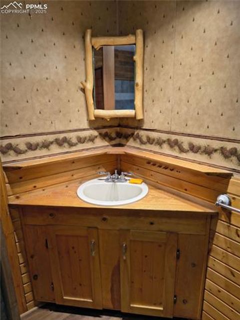Tiny photo for 987 Blossom Road, Woodland Park, CO 80863 (MLS # 4673683)