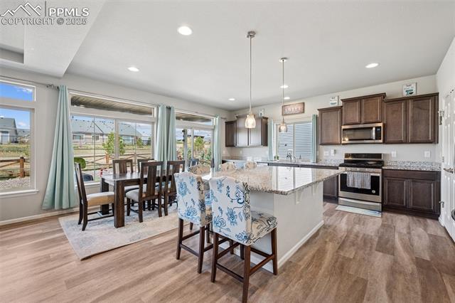 9237 Birr Court