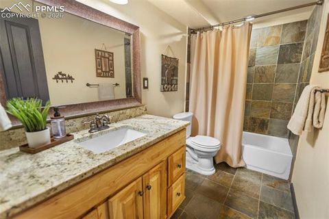 Tiny photo for 1195 Ptarmigan Drive, Woodland Park, CO 80863 (MLS # 6847760)